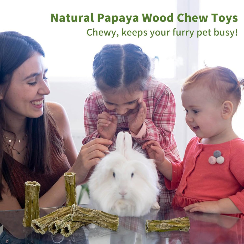 Fhiny Rabbit Chew Toys, 6 PCS 3.9" Natural Papaya Wood Chew Sticks Guinea Pig Treats for Dental Care Bunny Treats for Rabbits Small Pet Molar Snacks for Bunny Guinea Pig Chinchilla Hamster Gerbil