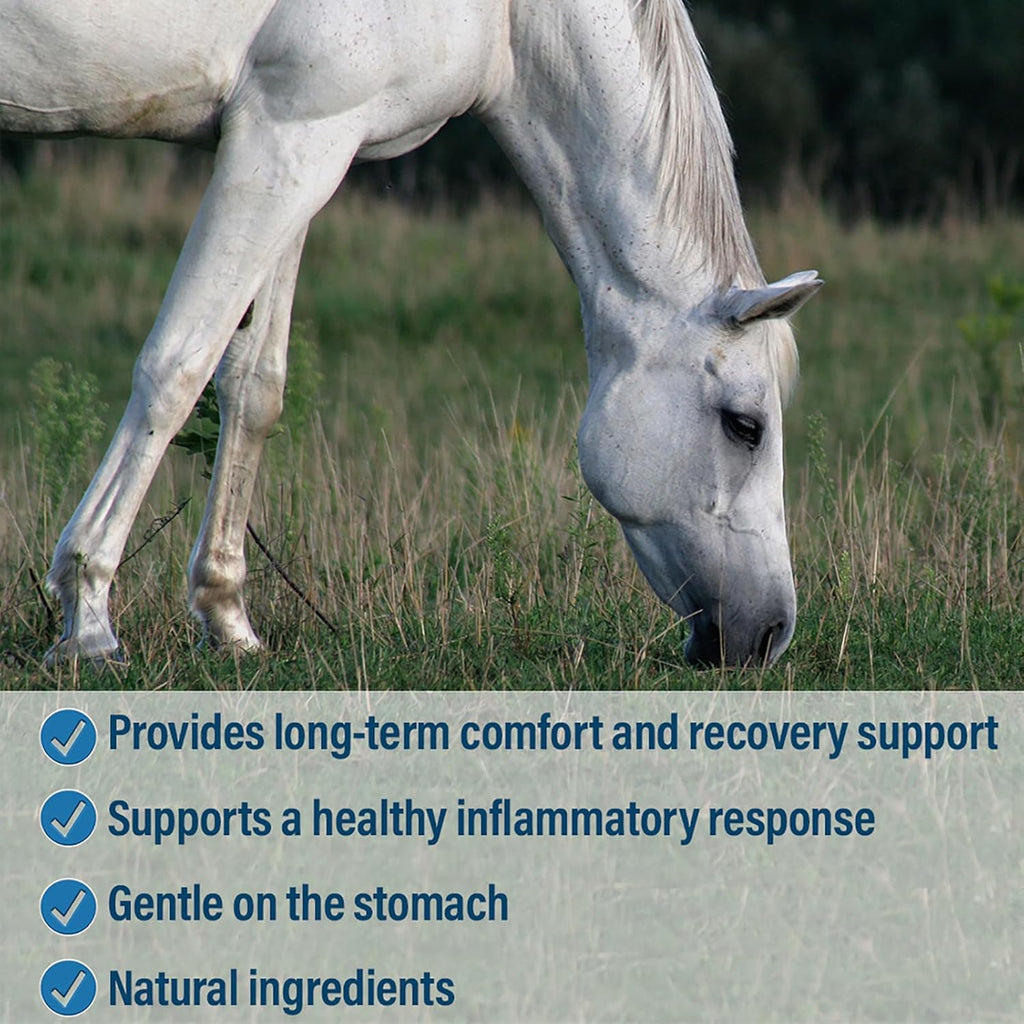 Absorbine Bute-Less Comfort & Recovery Support Supplement, Provides Long-Term Comfort, Gentle on Stomach, Includes Devil’s Claw, Vitamin B-12, Yucca, 10 lb / 160 Day Supply