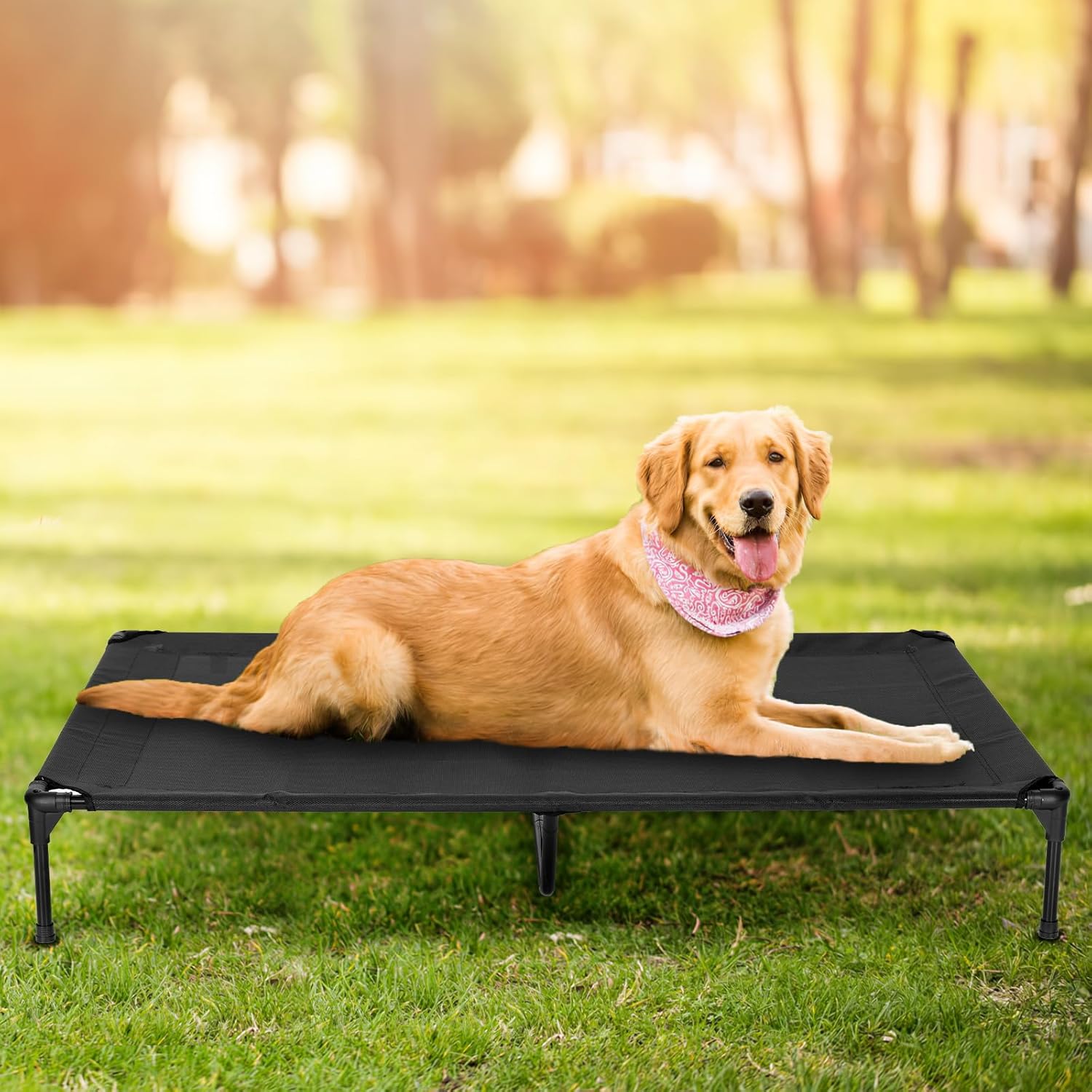 Elevated Dog Bed for Outdoor, Medium Raised Dog Cot with Washable Mesh, Cooling Pet Cot Chew Proof for Outside Camping, 32"x25" Black