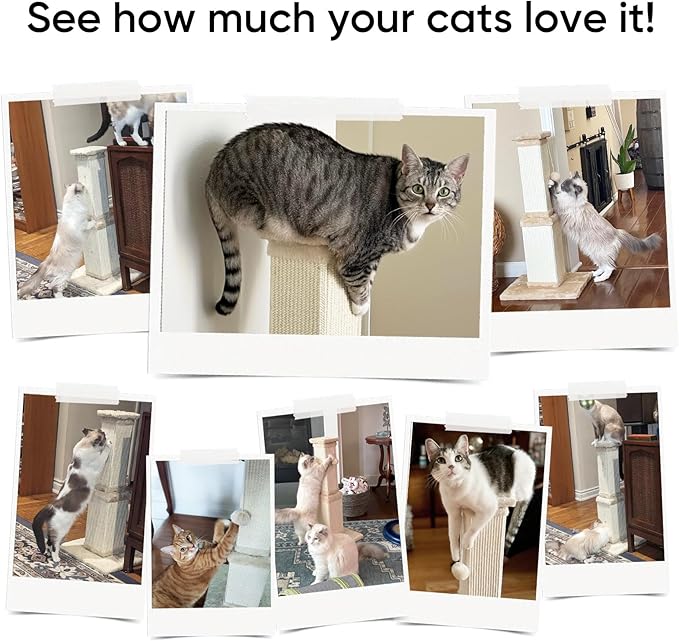 Cat Scratching Post, 32 Inch Cat Scratching Posts - Image 6
