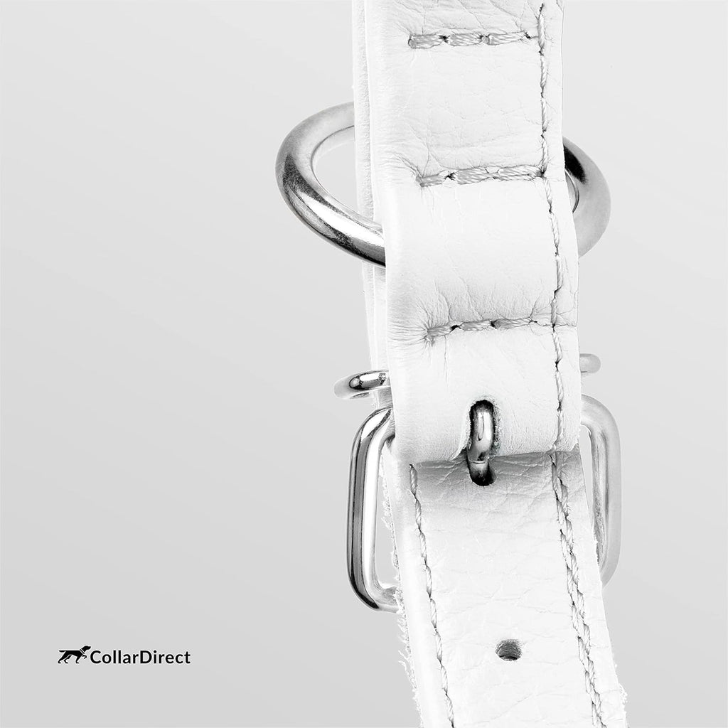 CollarDirect Rolled Leather Dog Collar, Soft Padded Round Puppy Collar, Handmade Genuine Leather Collar Dog Small Large Cat Collars 13 Colors (13-16 Inch, White Textured)