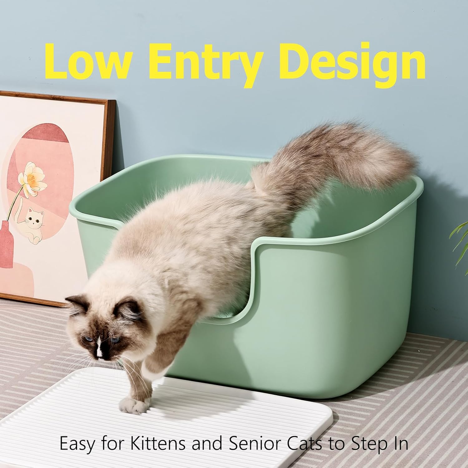 SpaceTime Extra Large Litter Box with High Sides,XL Low Entry Multi Cat Litter Pan for Kittens,Jumbo Litter Boxes for Big Cats,Anti-Splashing Cat Boxes for Indoor Cats,Open Top,Easy to Clean (Black)