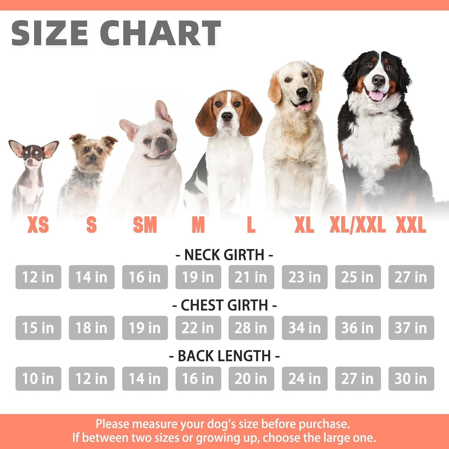 KOOLTAIL Basic Fall Dog Hoodie - Soft & Warm Dog Hoodie Sweater with Leash Hole and Pocket, Pet Winter Coat, Cold Weather Clothes Sweatshirt for Small Medium Large Dogs Puppy Cat Boys Girls,Orange XXL