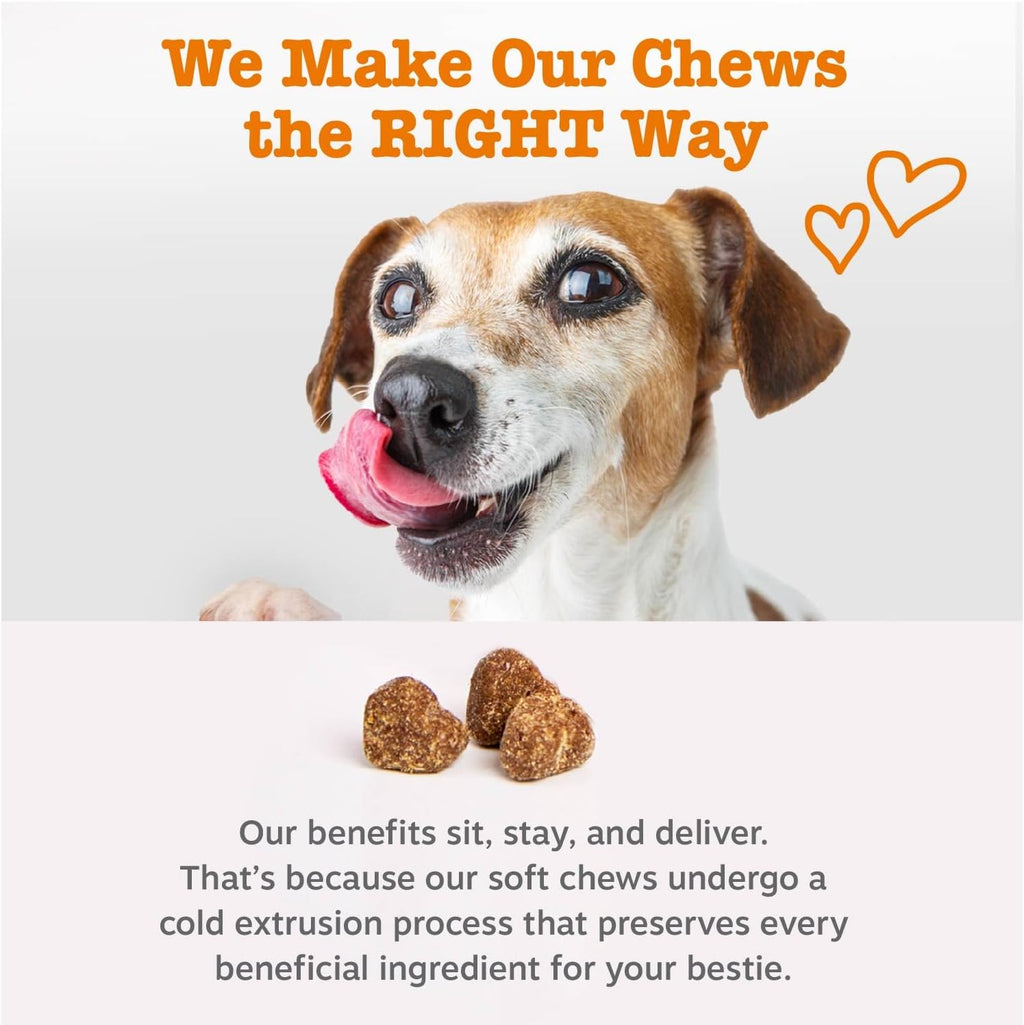 Zesty Paws Dog Multivitamin, Chewable Dog Vitamins and Supplements for Hip & Joints, Skin & Coat, Omega 3 Fish Oil for Dogs- Senior & Puppy Multivitamin- Peanut Butter- 50ct