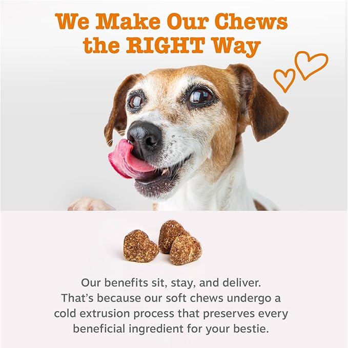 Zesty Paws Allergy Immune Bites - Image 5