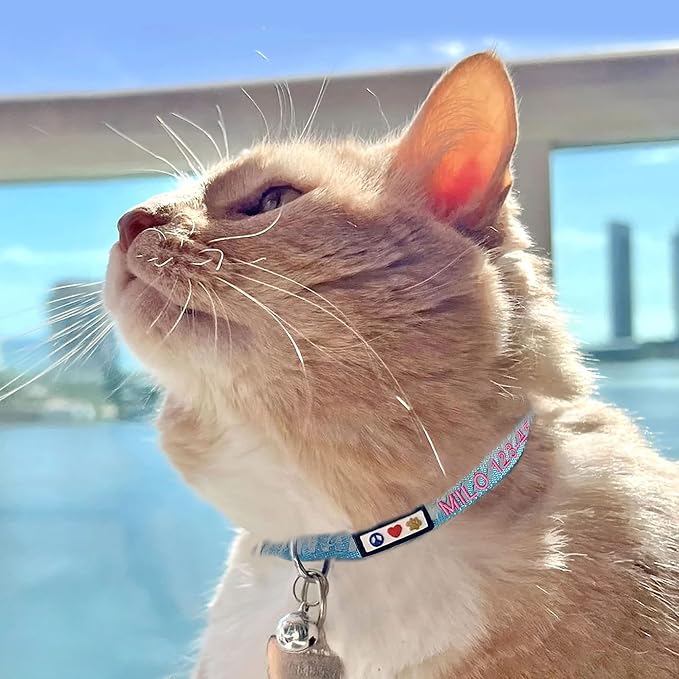 Pawtitas Personalized Pink Reflective Cat Collar – Adjustable Custom Collar - Image 3