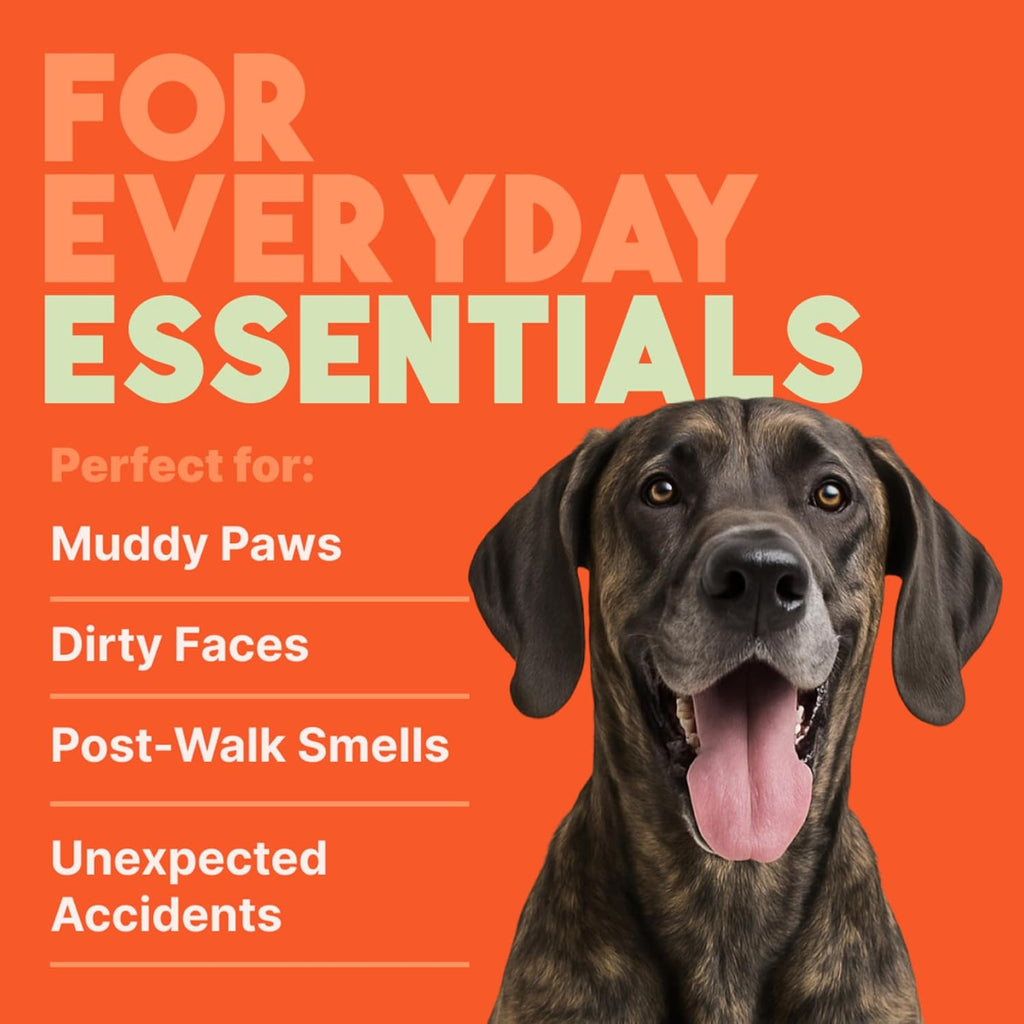 TropiClean Papaya & Coconut Luxury 2-in-1 Pet Wipes, 100ct - Wipes for Dogs & Cats - Gently Removes Dirt, Dander & Smells - for Pet Paws, Face, Body & Bottom - Tropical Papaya & Coconut Scent