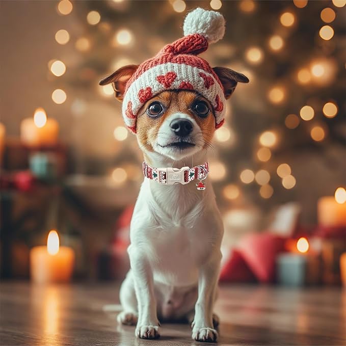 Christmas Dog Collar for Medium Dogs - Image 7