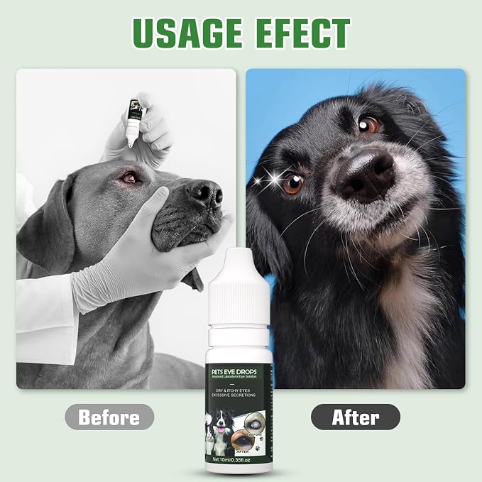 BrennenstuhlCataract Drops for Dogs - Image 3