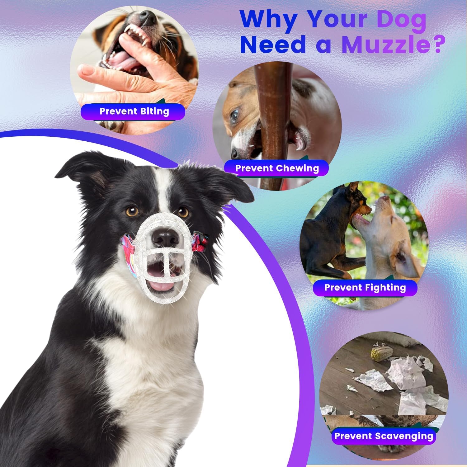 Basket Muzzle Allows Panting Drinking - Anti Biting Chewing, Suitable for Grooming Trimming Training, Transparent, Size 4