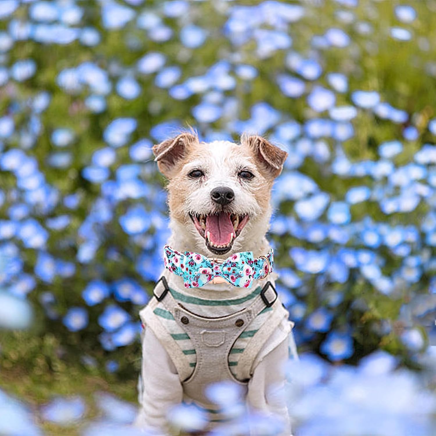 Elegant little tail Dog Collar, Rose Print Pet Collar Summer Dog Collar Durable Metal Buckle Dog Collars Cotton Pet Adjustable Dog Collars for Large Dogs