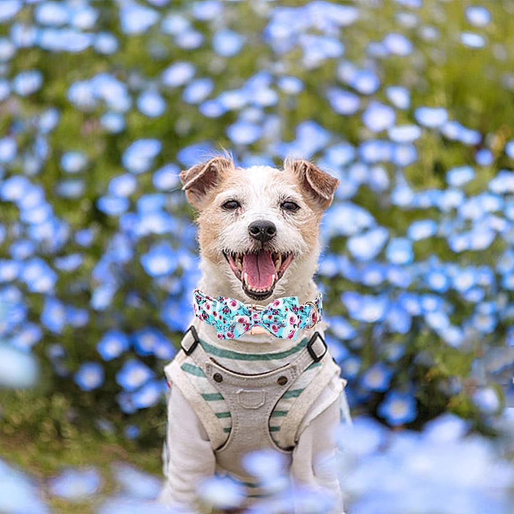 Elegant little tail Dog Collar, Rose Print Pet Collar Summer Dog Collar Durable Metal Buckle Dog Collars Cotton Pet Adjustable Dog Collars for Small Dogs
