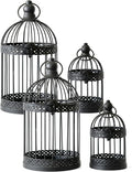 Vela Lanterns Bird Cage Decor Candle Holder Lantern Decorative Table by VelaCandleLanterns