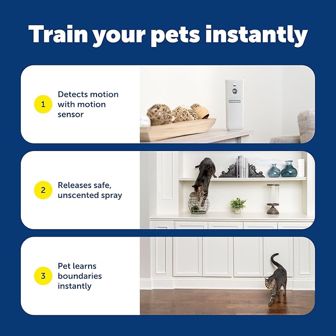 PetSafe SSSCAT Refill Can for Motion Activated Automatic Spray Pet Deterrent - Image 4
