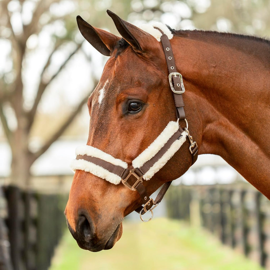 Equinavia Valkyrie Soft Ultra Fleece Padded Adjustable Breakaway Horse Halter - Brown/Ivory White - Warmblood