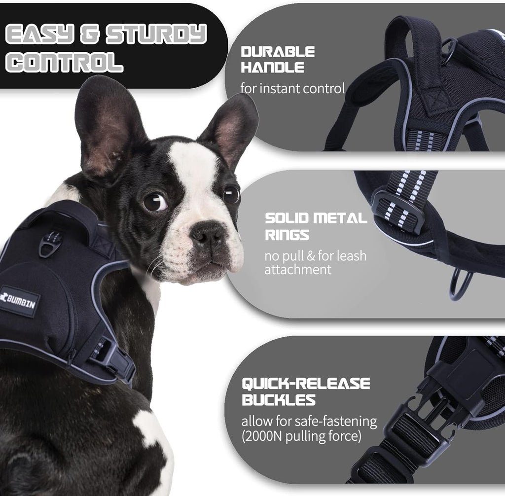 No Pull Dog Harness for Medium Dogs, Adjustable No Choke Pet Vest with Dog Leash Fit Smart Reflective Pet Walking Harness for Training Easy Control Soft Handle Black S
