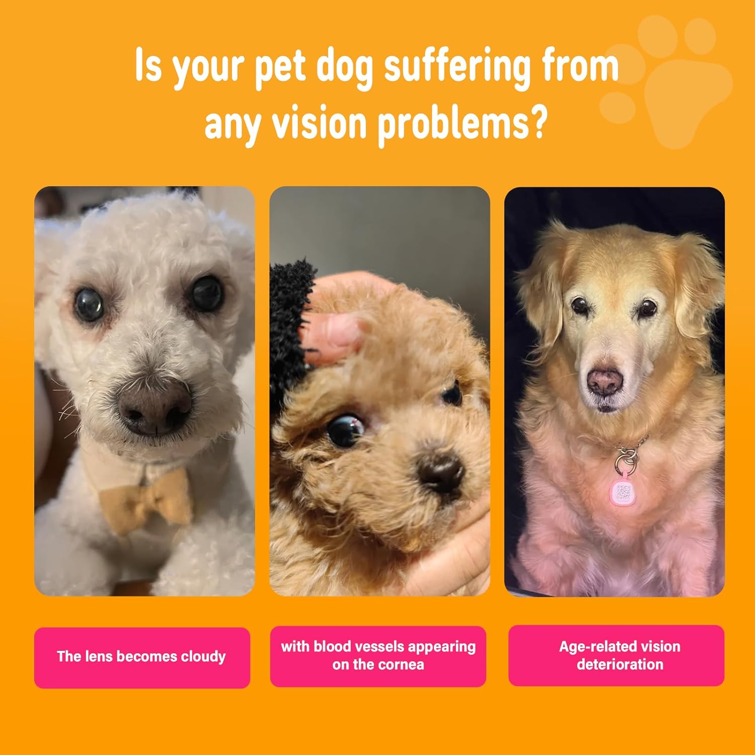 Eye Supplements for Dogs - Vision Support Soft Chews with Lutein, DHA & Vitamin C | 120ct Salmon Flavor Tear Stain Chews | Cataract & Dry Eye Relief Supplement (120 Ct, Salmon)
