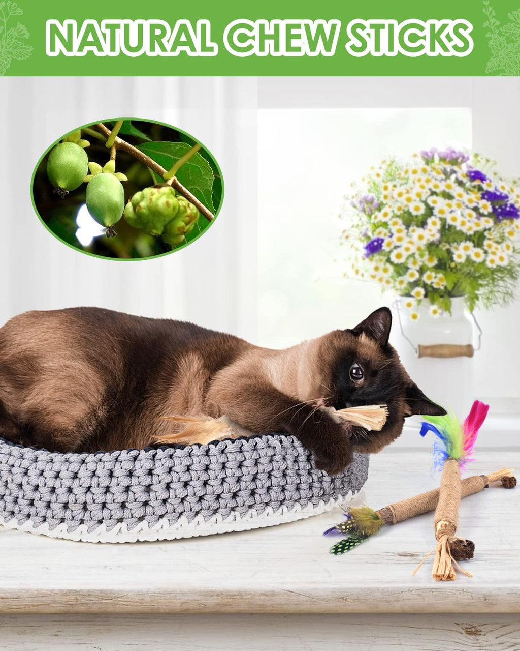 TINDTOP Silvervine Chew Sticks for Cats, Natural Catnip Chew Toys for Kittens Teeth Cleaning, Matatabi Dental Care, Increase Appetite, Calm Cat Anxiety and Stress, Cat Dental Toy (3 Pack)