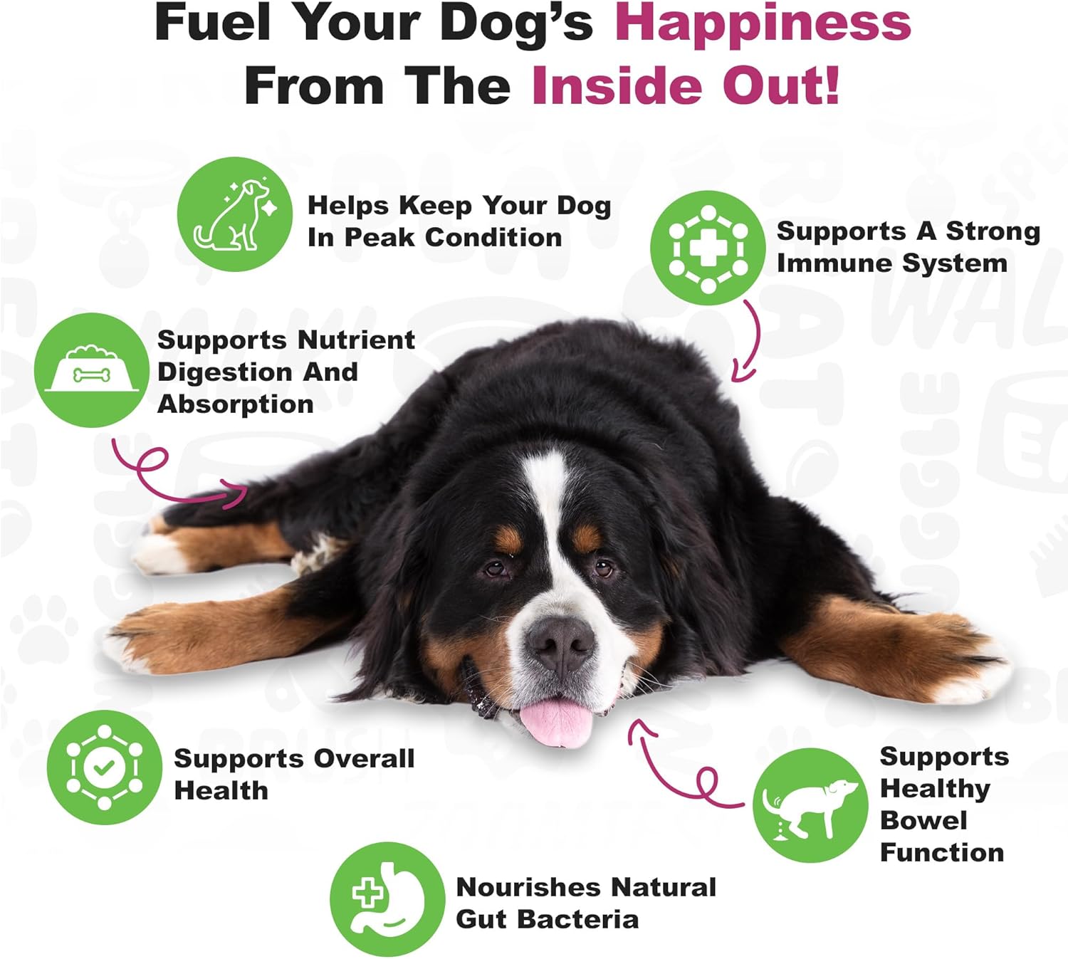 Doggie Dailies Probiotics for Dogs, Advanced Probiotics with Prebiotics, Promotes Digestive Health, Supports Immune System & Overall Health, Duck Flavor, 225 Chews