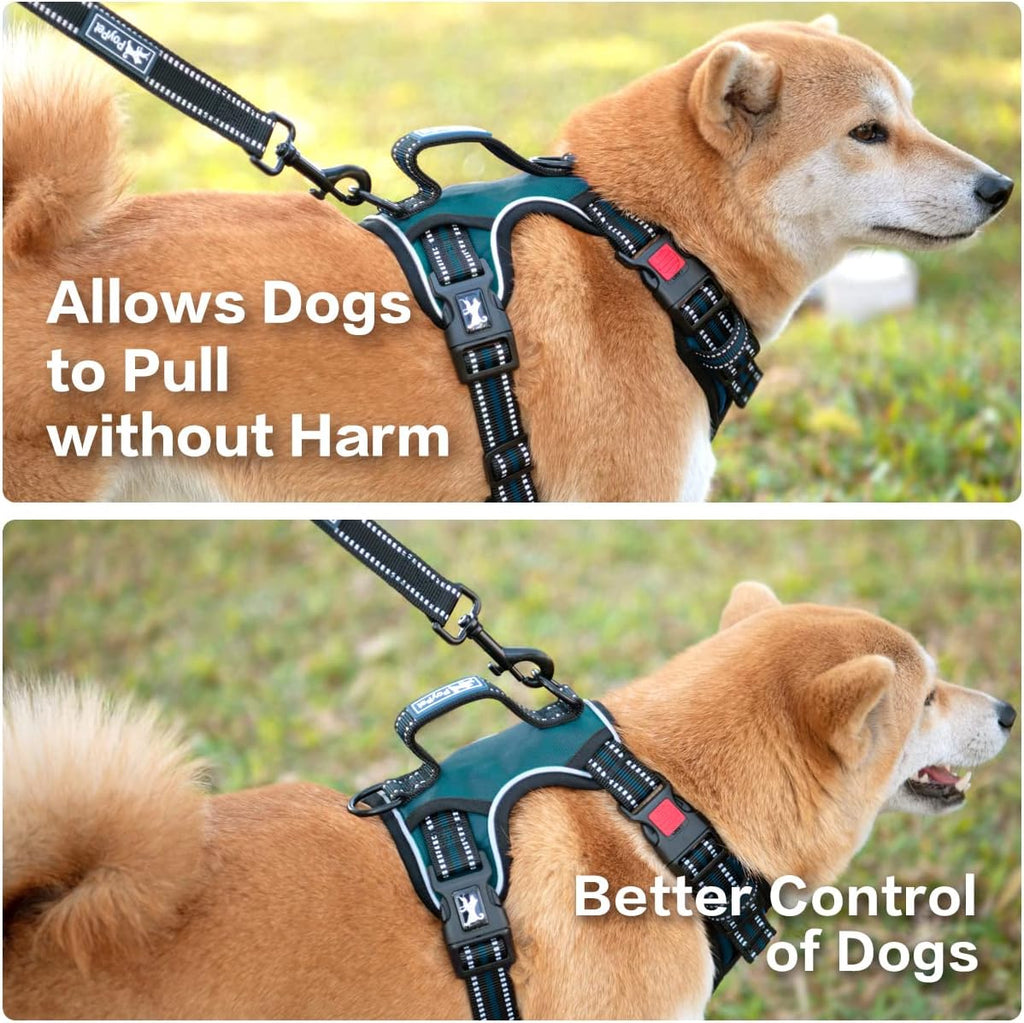 PoyPet No Pull Dog Harness, No Choke Front Clip Reflective Dog Vest with Soft Padded Vertical Handle, 3 Leash Attachments for Small Medium Large Dogs (Tumalo Teal,M)
