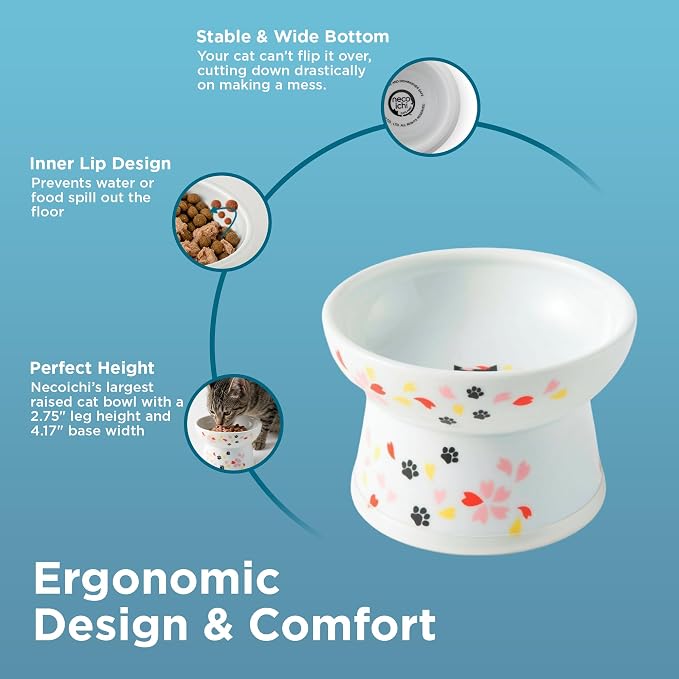 Necoichi Raised Cat Food Bowl – Ceramic Elevated Cat Bowl - Image 3