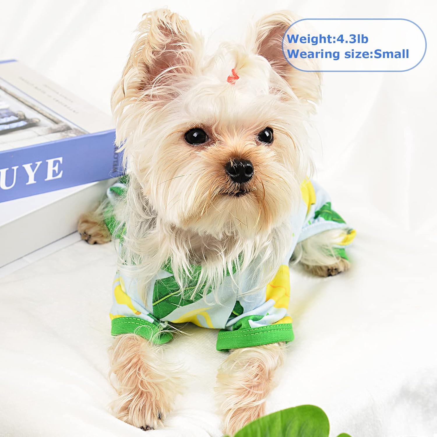 PinkBow Dog Pajamas, Banana Graphics, X-Small, 1.5-3.3lb, Polycotton, for Small Dogs & Cats