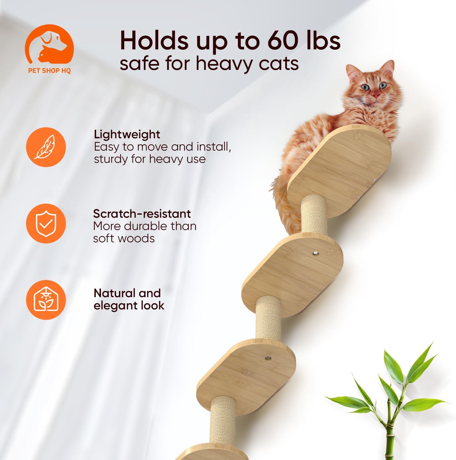Wall-Mounted Cat Furniture for Climbing - Indoor Wooden Floating Shelves, Perches, Hammock, Bed, Bridges, Walkways - Different Models