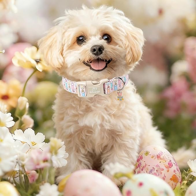 Easter Dog Collar for Small Dogs - Image 2