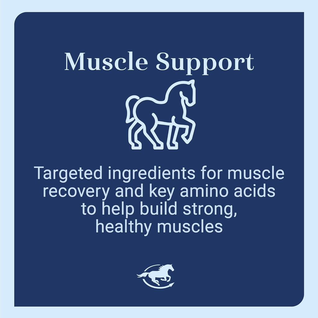 Uckele by SmartEquine Muscle EQ™ Powder | Muscle Supplement with L-Carnitine for Horses | Amino Acid Beta-Alanine for Optimal Muscle Function & Supports Recovery | 4.3 lb Bag