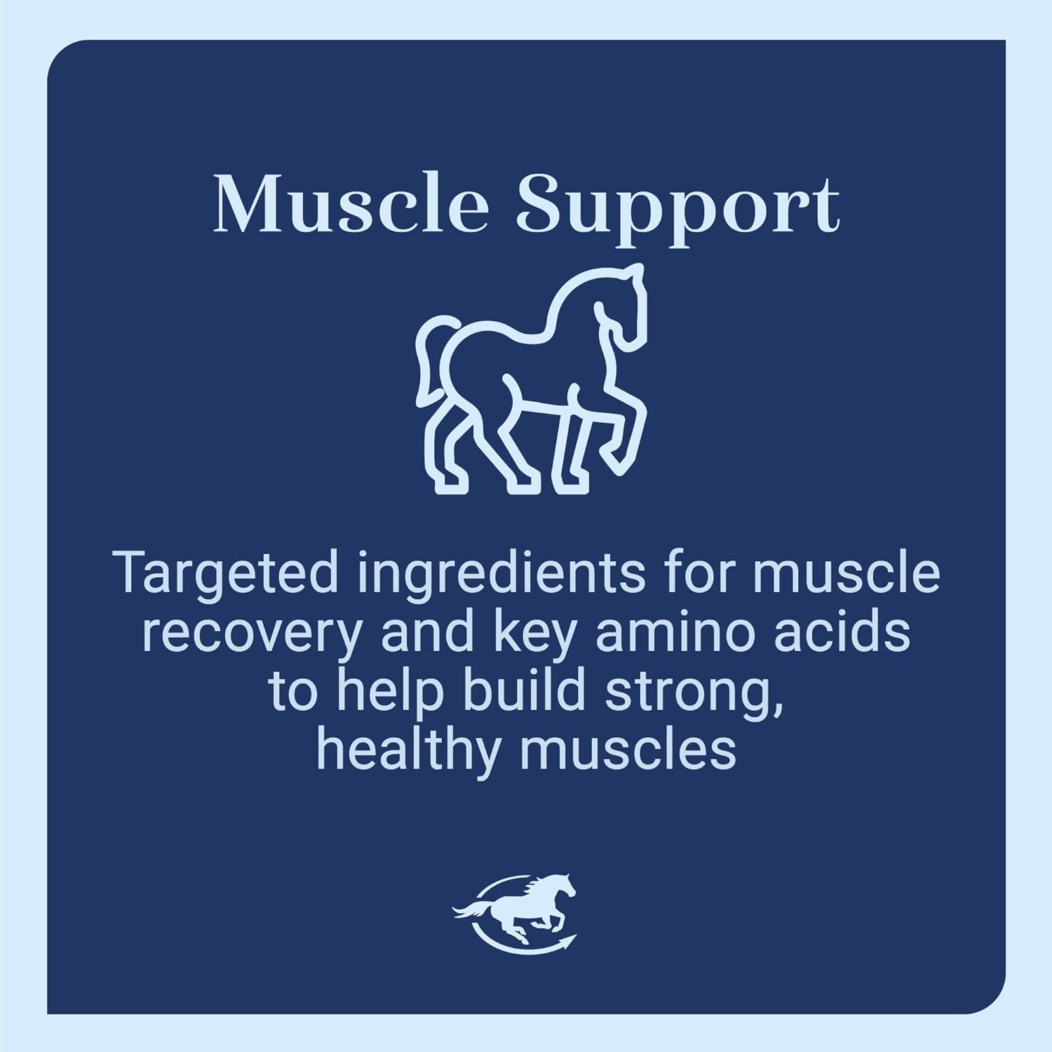 Uckele by SmartEquine Muscle EQ™ Powder | Muscle Supplement with L-Carnitine for Horses | Amino Acid Beta-Alanine for Optimal Muscle Function & Supports Recovery | 4.3 lb Bag
