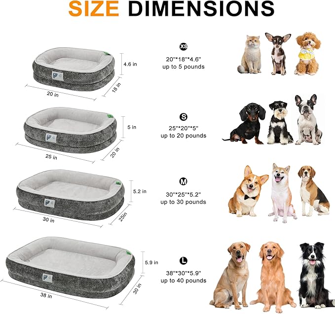 Orthopedic Cat Bed for Puppy & Kitten, Cat Sofa Bed - Image 2