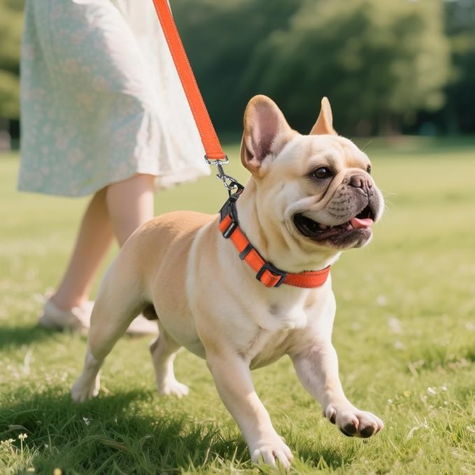 Joytale Dog Collar, Soft Neoprene Padded Breathable Nylon Pet Collar Adjustable - Image 6