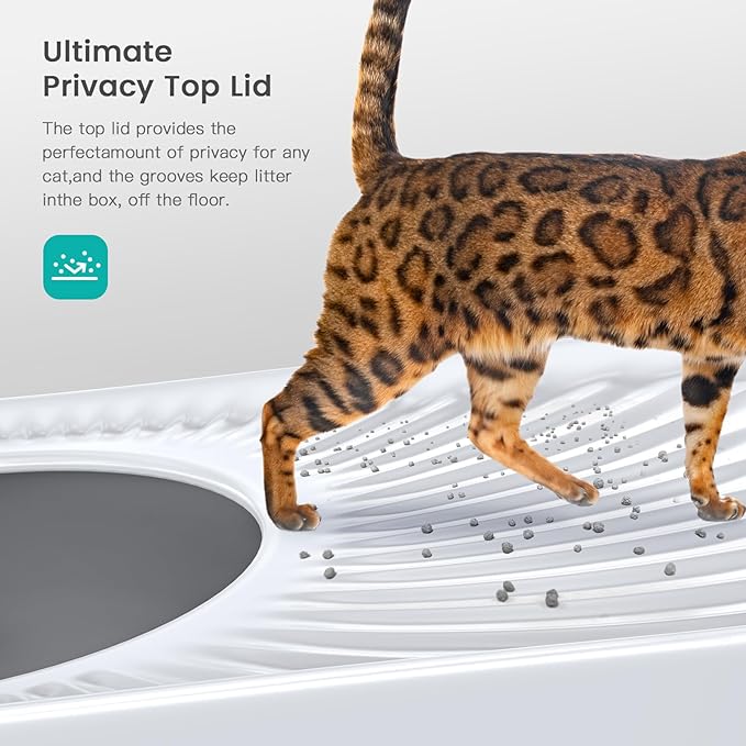 WoofiGo Stainless Steel Cat Litter Box, Large Top Entry Litter Box - Image 5