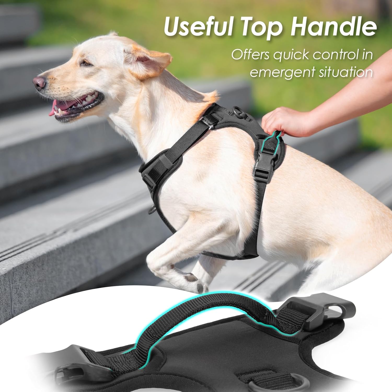 No Pull Dog Harness, Puppy Vest with Front Clip for Small Medium Large Sized Dog(Black,XS)