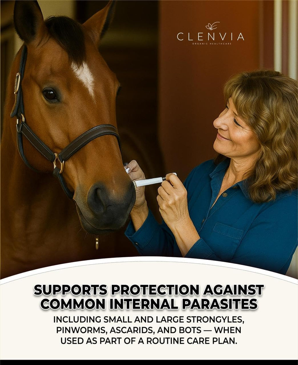 Horse Paste 1.87% – Apple Flavored Wormer – 6.08g Tube – Treats Up to 1250 lb (4 Pack)