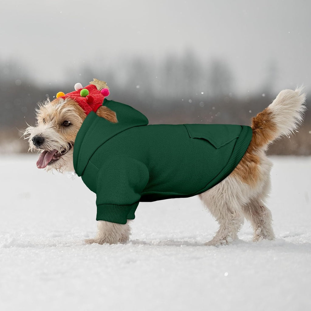 Dog Sweaters for Small Dogs Dog Hoodie Pet Sweater Solid Soft Brushed Fleece Pet Clothes Hoodie Sweatshirt with Pocket(Green-S)