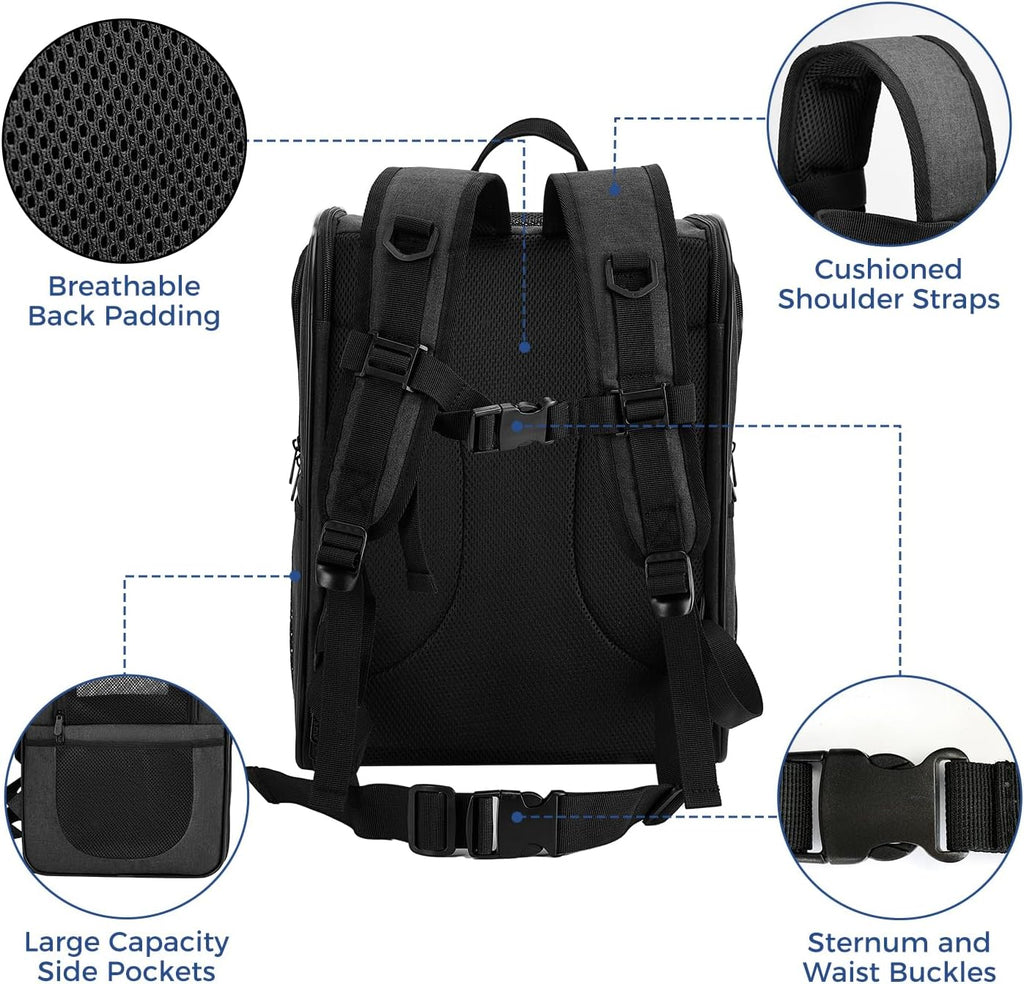 Apollo Walker Dog & Cat Carrier Backpack for 4-15lb Pets - Ventilated Safe Design with Padded Back Support, Breathable Mesh Pet Backpack for Hiking, Travel, Outdoor (Black)