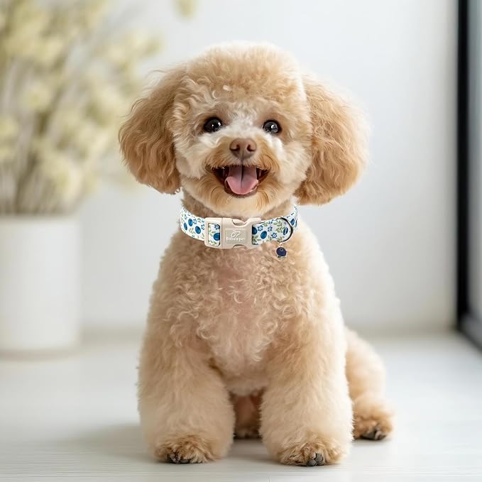 Spring/Summer Dog Collar for Small Dogs - Image 2