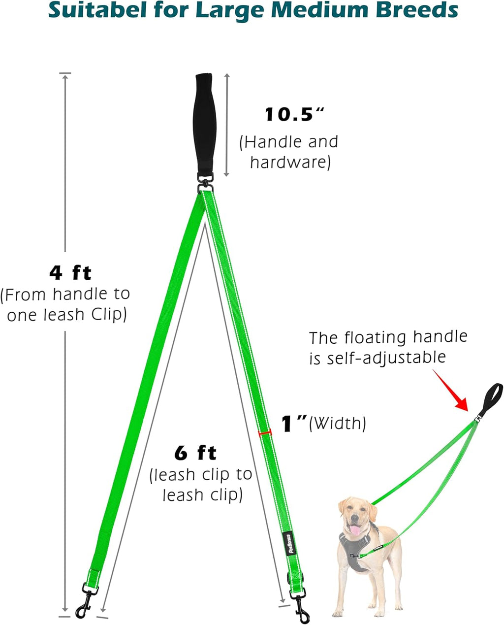 PetBonus Two Point Control Dog Leash, Works with No Pull Harnesses, No Tangle Training Leashes, Soft Padded and Reflective Walking Lead, Converts to Single Lead for Medium Large Dogs (Grass Green)