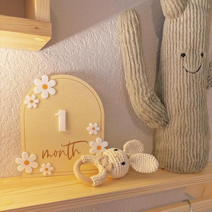 Daisy 3D Baby Monthly Milestone, Wooden Baby Milestone Signs, Monthly Milestone Wood Discs, Baby Milestone Discs (Daisy)