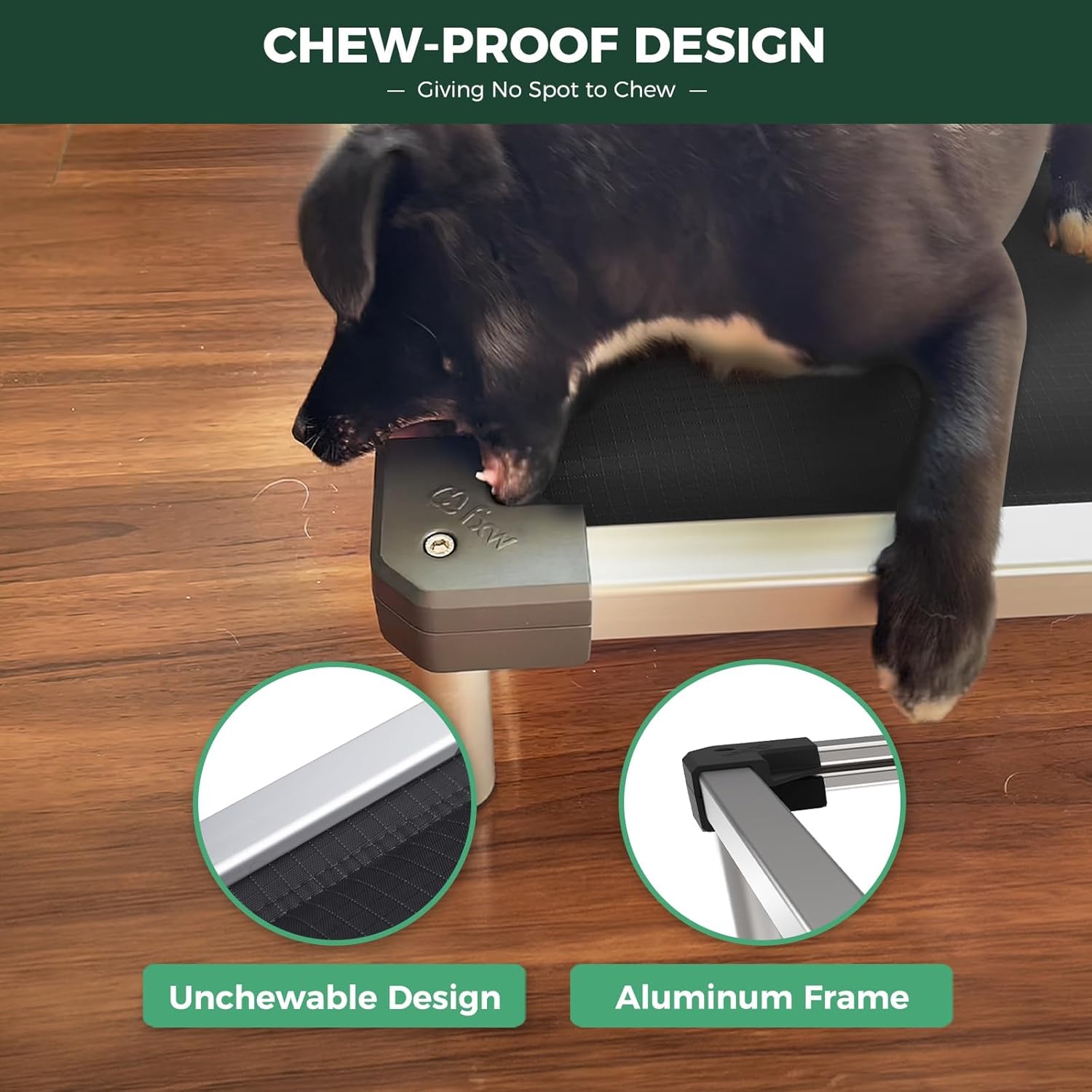 FXW TitanNest Chew-Proof Elevated Dog Bed, Raised Cot for Indoor/Outdoor/Camping Use, Durable & Washable Padded Pet Bed for Small Dogs, 35.0" L x 22.0" W x 4.5" H, Black