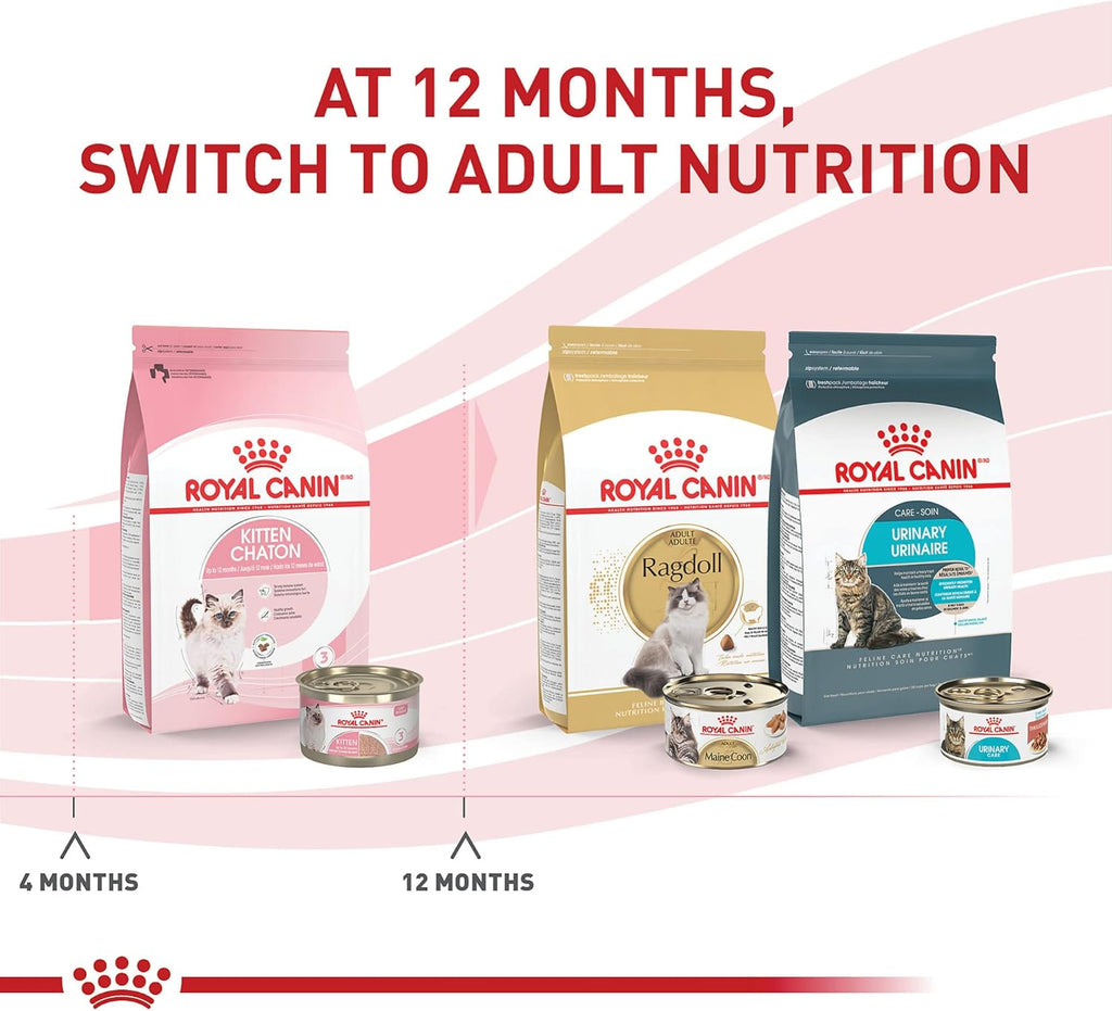 Royal Canin Feline Health Nutrition Kitten Loaf in Sauce Canned Cat Food, 5.1 oz can (24-count)