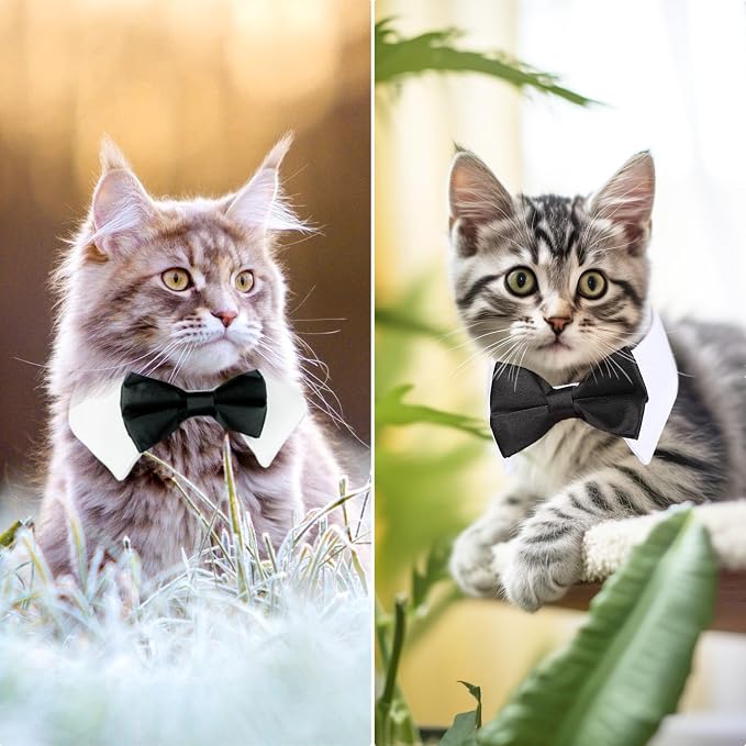 Segarty Bow Tie Cat Collar for Neck Girth 8.8-10.5 in, Tux Puppies Dog Bowtie - Image 5