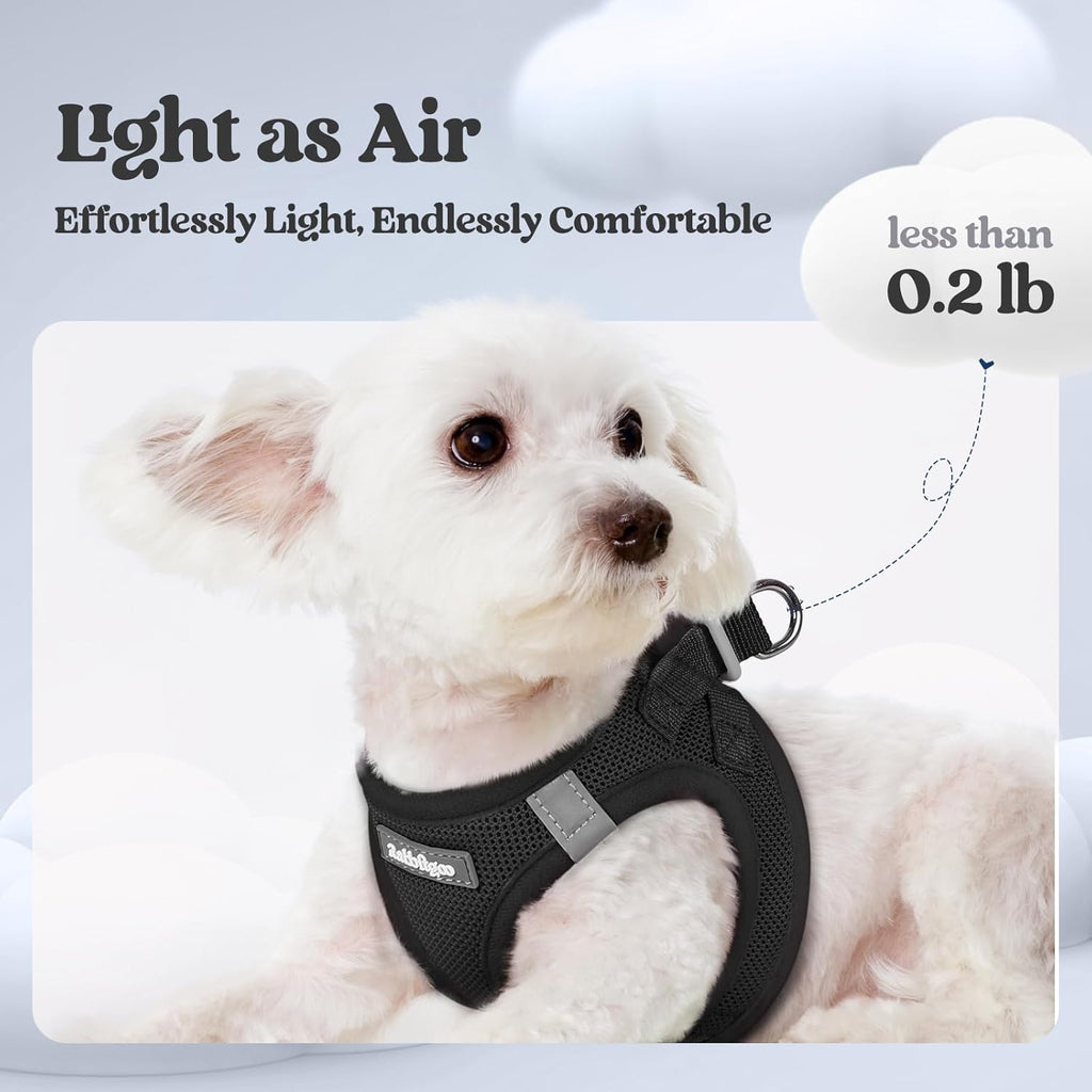 rabbitgoo Dog Harness Small Medium Sized and Leash Set, Step in Soft Light Puppy Vest, Breathable Mesh Pet Harness, Reflective for Safe Easy Walking, Black L