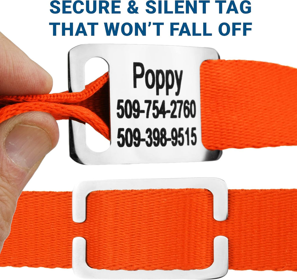 GoTags Personalized Dog Collar with Nameplate, Adjustable Dog Collar with Custom Engraved Slide On Pet ID Tag in Stainless Steel, Silent, No Noise Dog Tag for Large Medium and Small (Orange, Small)