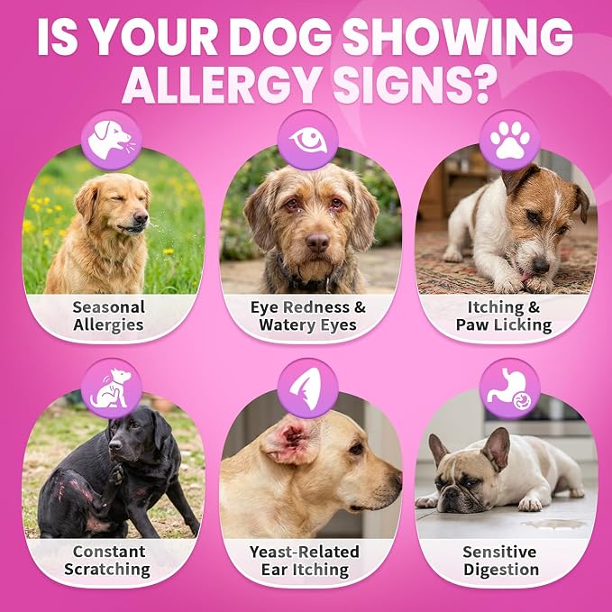 Dog Allergy Chews, Dog Allergy Relief - Image 4