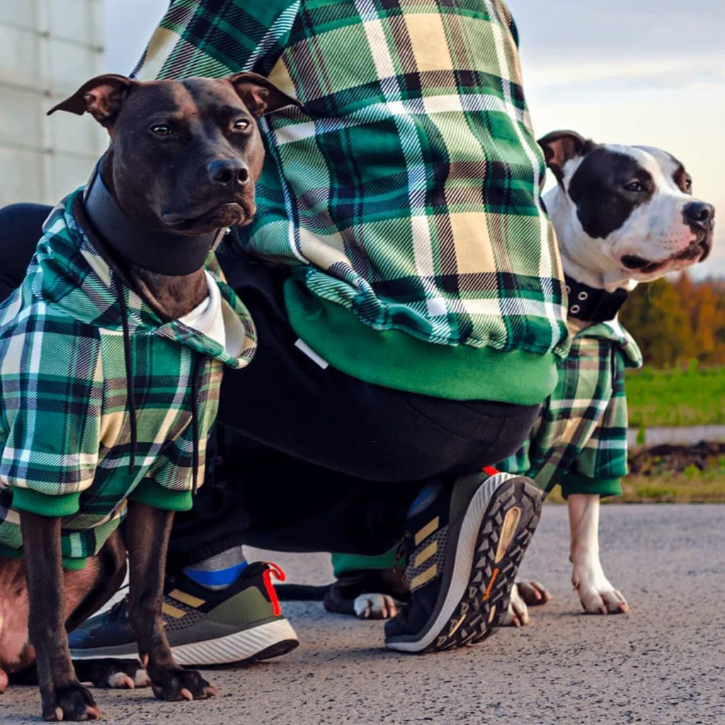 Spark Paws Dog Hoodie – Premium Dog Sweater for Small, Medium, and Large Dogs | Warm Outfits for French Bulldogs, Pitbull, Puppy, Winter Jacket Alternative - Green Plaid - 5XL