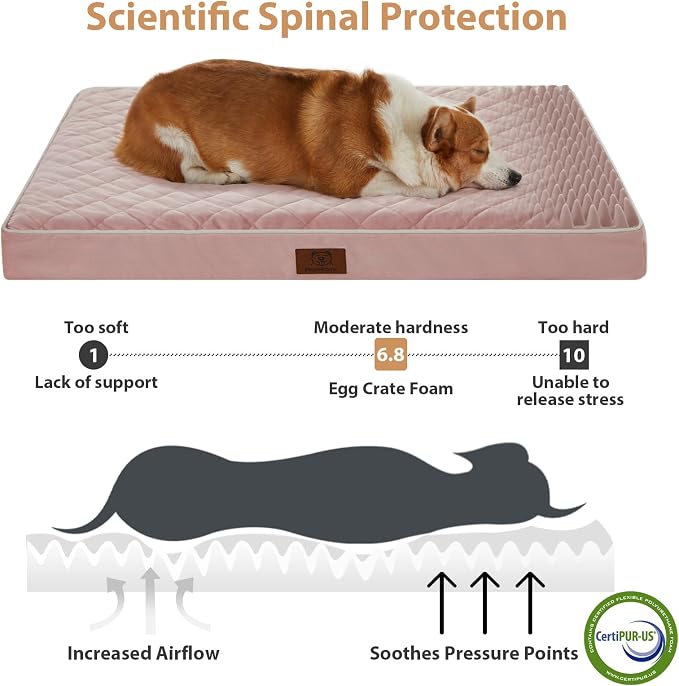 WNPETHOME Orthopedic Dog Bed Medium Size Dog, Waterproof Medium Dogs Bed - Image 3