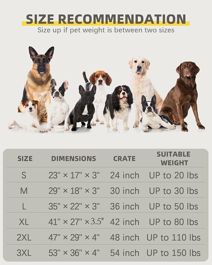Orthopedic Dog Beds for Small Dogs Waterproof - Image 8