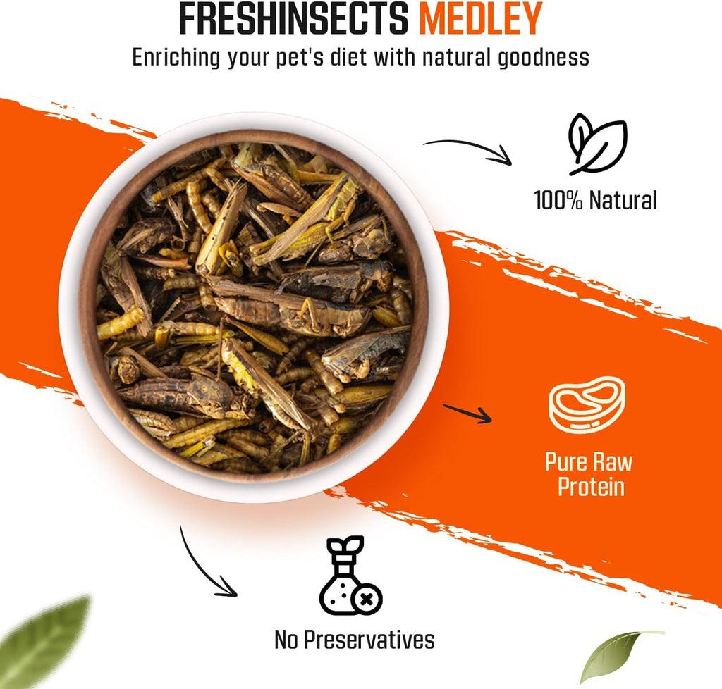 Medley Treat Bearded Dragon Food - Freeze Dried Mealworms, Grasshoppers, Crickets, Quality Tested, Vitamin & Calcium Enriched, Essential Proteins, Fats & Minerals - for Bearded Dragons, Reptiles 6 oz